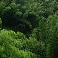 一路有泥