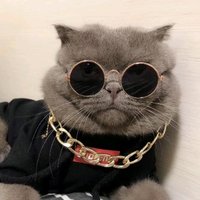 东阳真漂亮