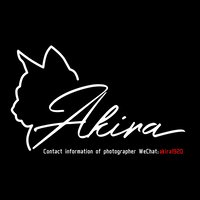 佳猫Akira