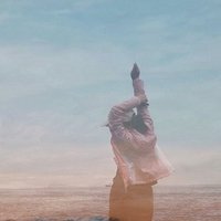 白鸟的眼睛