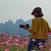彤行