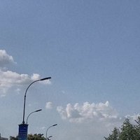 无野大堂