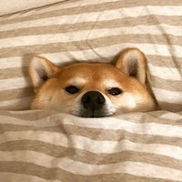 情不等人