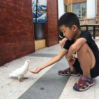 摄影师156480023875398