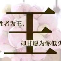 摄影师156487619536838