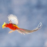 昆仑之巅