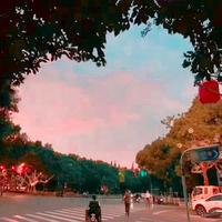 摄影师156491476877967