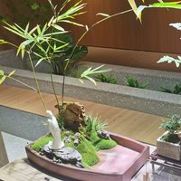 络腮胡子柒叔