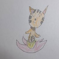 聖坤