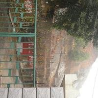 胡安