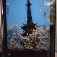 刘亦桐_