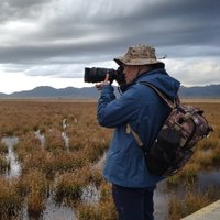 阳光之旅