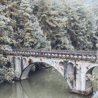 飞翔的板砖