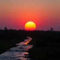 昭霖