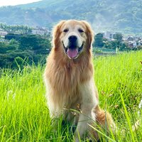 董不董董