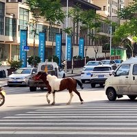 喜一阿