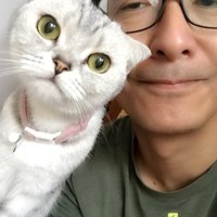 l大象l