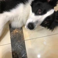 摄影师156575957935698