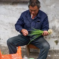 饺子的脊梁