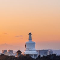 阿拉灯神丁T