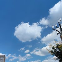 黄焦焦-
