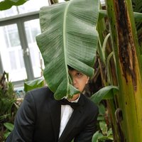 相飞田