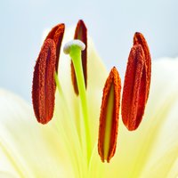 黑与白之间