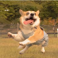 像光一样