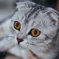 拾寸光阴