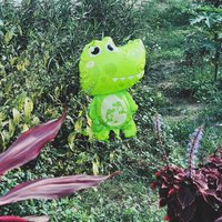 马虎1006