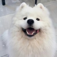 地球摄影师1112