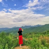 皮燕