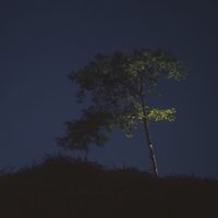 总是慢半拍