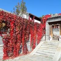 不一样的烟火136