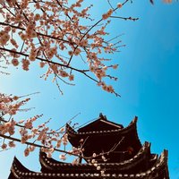 叮当美食旅游记