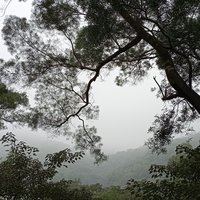 一颗花生糖