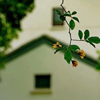一土干一