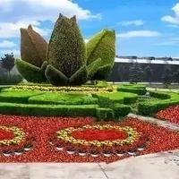 摄影师156714697161456