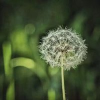 陪你看夜空阿