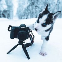 Q恰恰