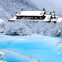 小小智