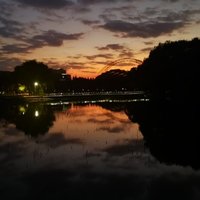 小灰灰-阿飞