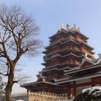 pz张传锋