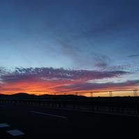 林南夕木