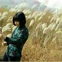 吃小猫的鱼