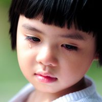落花风雨更伤春