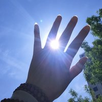 如果我是一棵树