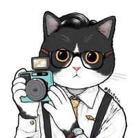 猫友一生