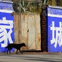 绍刚