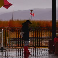 Young0616